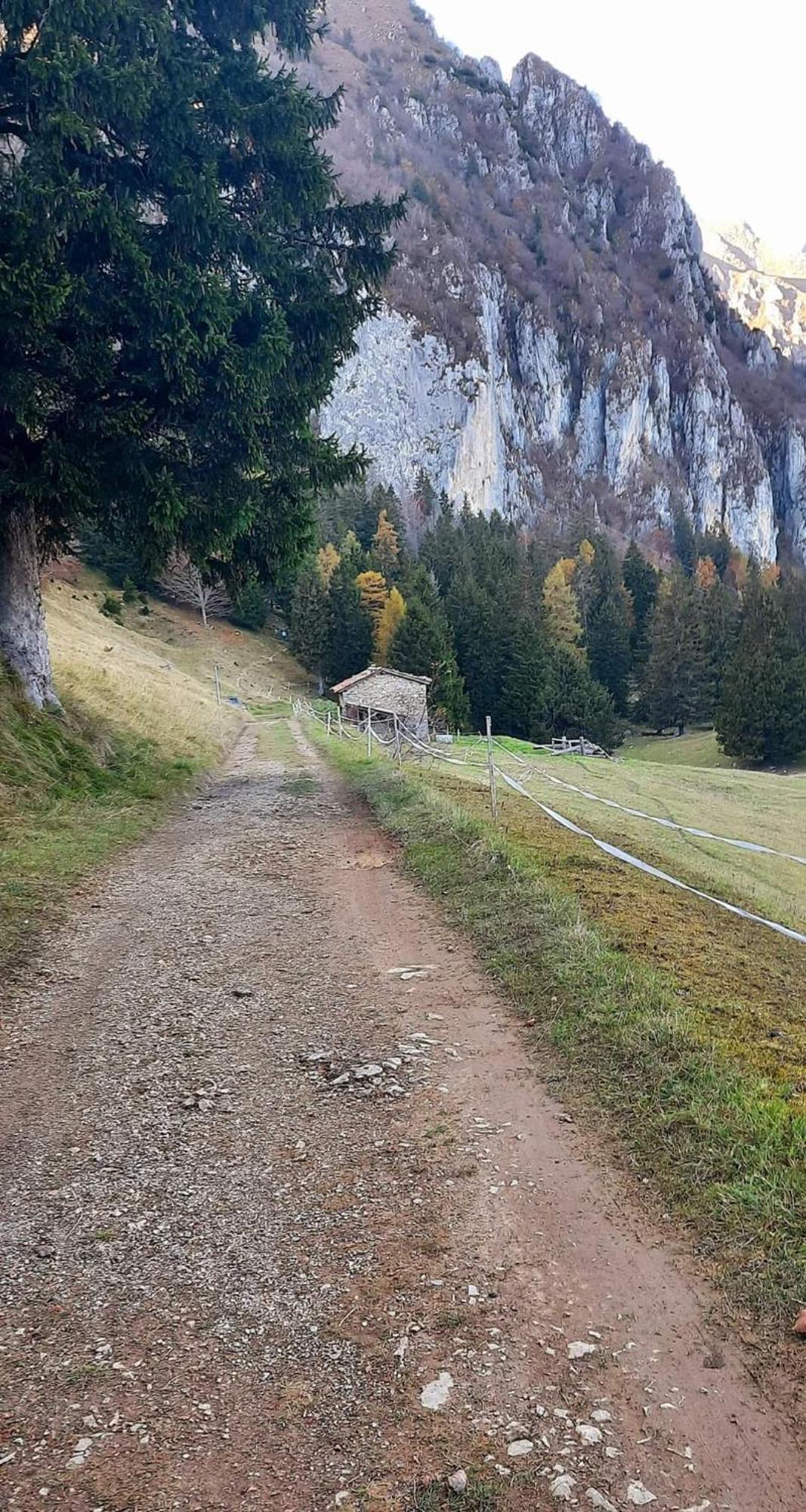 Presolana House Daire Castione della Presolana Dış mekan fotoğraf